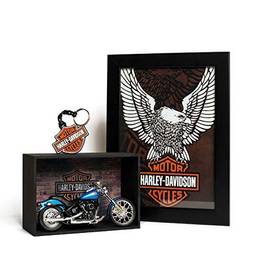 Presente para Motoqueiro Kit 19 - Miniatura Harley-Davidson com expositor