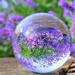 Bola de vidro KICODE TOPMountain Terrarium transparente redonda esfera de cristal artificial decoração de casa