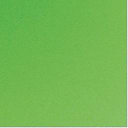 Make+ Liso Placa de Eva Pacote de 10 Peças, Verde (Grama), 48 x 40 x 0.16 cm