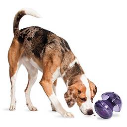 PetSafe Brinquedo para cães de cogumelo mágico Busy Buddy – Alimentador lento – Dispensador de petiscos