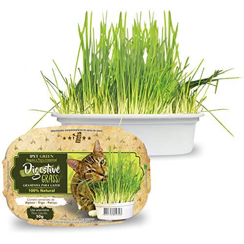 Ipet Green Digestive Grass Graminha Para Gatos 50G IPET para Todas Todos os tamanhos de raça Todas as fases - Sabor Outro